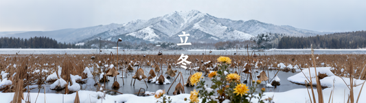 Traditional Solar Term: Start of Winter – When Eastern Aesthetics Meet Modern Life