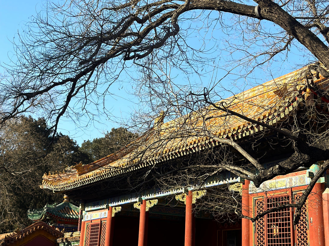 What is Oriental Aesthetics?